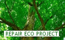 エコプロジェクト